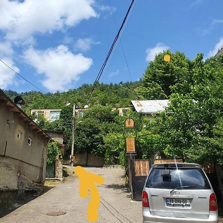 Nari Apartment Bordzjomi Buitenkant foto